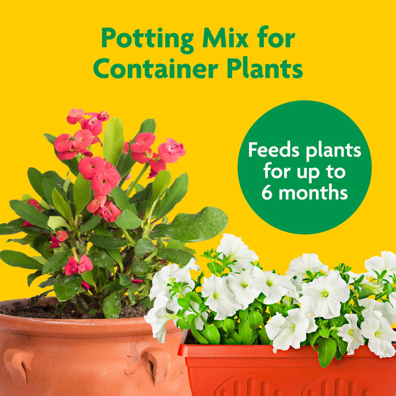 miracle gro for potted plants Miracle-Gro Potting Mix