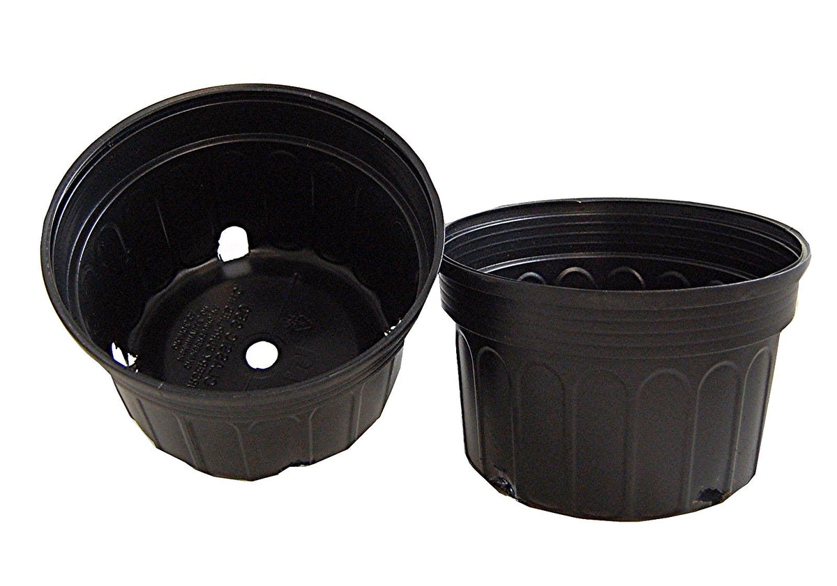 1 Gallon Pot (Black Plastic)