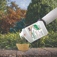 Bonide All Seasons Horticultural Spray Oil ( 16 oz ) For Trees, Vegetables