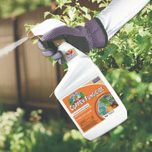 Bonide Captain Jack's Copper Fungicide, 32 oz., Ready to Use, Garden Fungicide