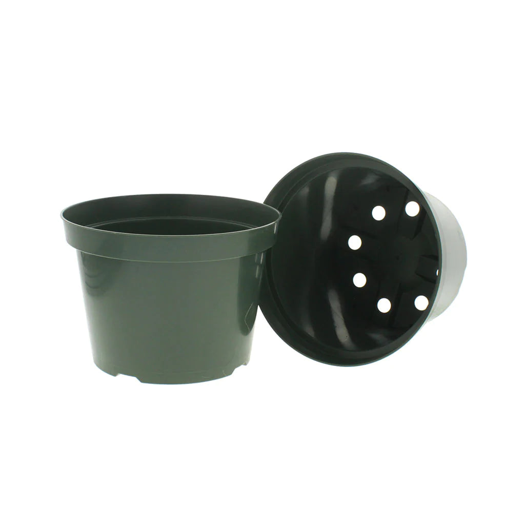 Azalea Pot, Nursery 8 Inch, Qty-50, 8 Inch Round at The Top and 5.6 Inch Deep