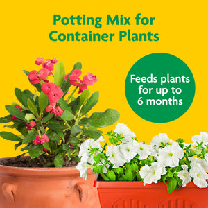 miracle gro indoor outdoor potting mix Miracle-Gro Potting Mix