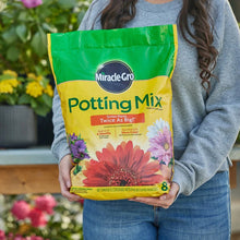 Miracle Gro Potting Soil, 8 Quart, Feeds 6 Months, Indoor, Outdoor Containers