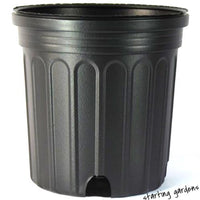 2 Gallon Nursery Pot, (Qty. 10), Black Trade 2 Gallon, Greenhouse Containers