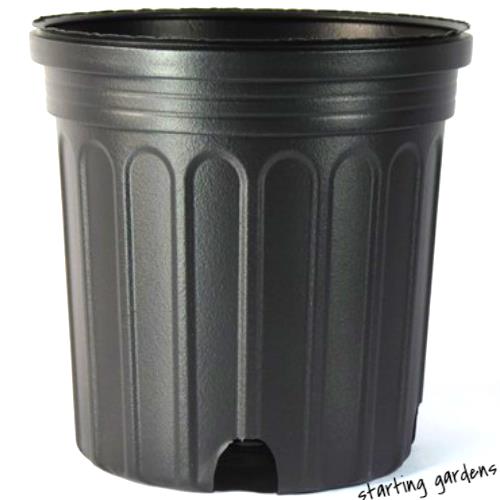 1 gallon plant pots 1 Gallon Nursery Pot (Qty.20), Trade Gallon Black Nursery Container, 6 – Starting Gardens