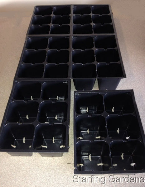 Seed Germination and Propagation Trays (Qty.150) 900 Total Cells