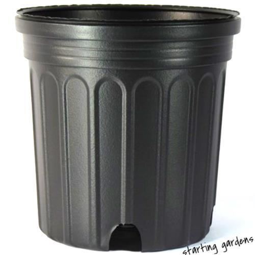 2 Gallon Nursery Pot, (Qty. 50), Black, Full 2 Gallon, Greenhouse Containers