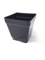 4" Square Pot, (Qty. 50), 4 inch Nursery or Greenhouse Pots, Black, 3.5x 3.5"