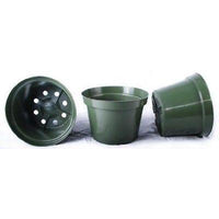 8 Inch Azalea Plastic Nursery Pots , (Qty 13), Green Nursery Pots-Starting Gardens