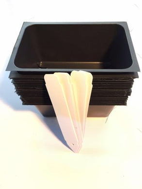 Seed Starter Trays, 3