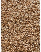 Annual Rye Grass Seed, (5 lb. Pack), Grass Seed, Cool Season Gulf Rye Grass Seed