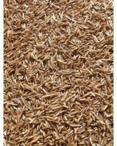Annual Rye Grass Seed, (5 lb. Pack), Grass Seed, Cool Season Gulf Rye Grass Seed