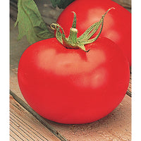 Better Boy Tomato Seeds, Better Boy Tomato Hybrid VFN, NON-GMO, 20 Seeds