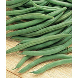 Blue Lake Bush Bean 274, Packed in Resealable Foil Packaging, Heirloom, NON GMO-Starting Gardens