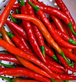 Cayenne Long Red Pepper Seed, 50 Seeds, Cayenne Long Red Thin, NON-GMO, Heirloom