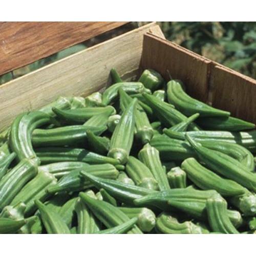 Clemson Spineless Okra seed, Certified Seed, Heirloom, NON GMO, Foil P