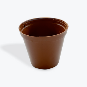plastic plant pots wilkinsons 2 inch nursery greenhouse pots, 60 mm, 2 inch succulent or cactus plastic pots