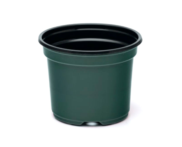 8 Inch Azalea Pot, (Qty.20), 8