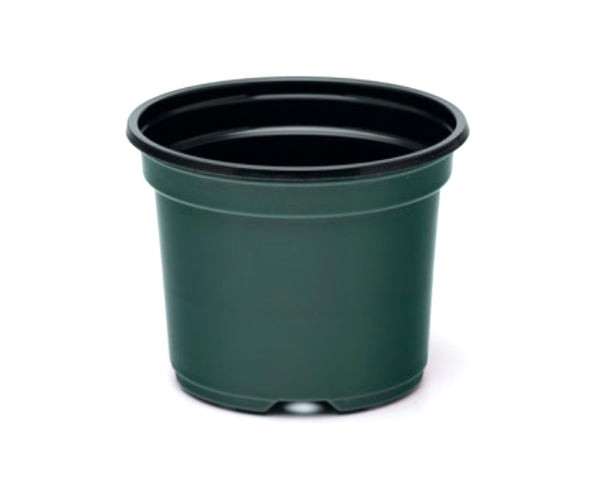 8 Inch Azalea Pot, (Qty.20), 8" Green  Nursery and Greenhouse Container, sp800