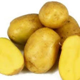Yukon Gold Seed Potato, (5 lbs.),  Certified Yukon Gold Seed Potatoes, NON GMO