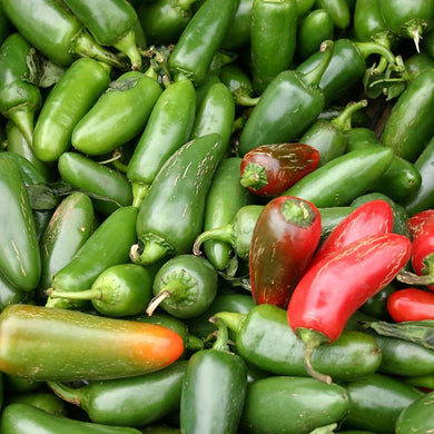 Jalapeno Pepper Seeds, Jalapeno Pepper, NON-GMO, Heirloom, 25 Seed Pack