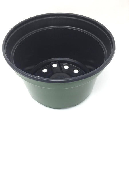 Mum Pan, Leightweight Mum Pan, (Qty. 25), Green Nursery Greenhouse Pot, 8x5 Inch
