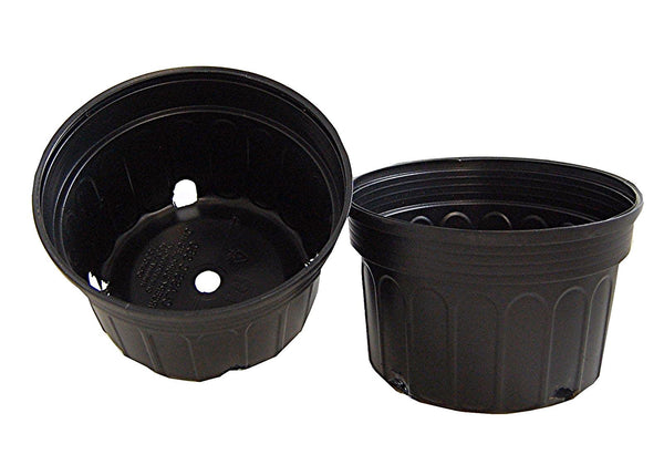 Mum Pan, (Qty. 50) 8x5 Black Nursery and Greenhouse Pot, Bulb Pot, Black C350