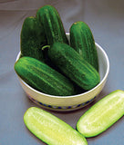 National Pickling Cucumber, Heirloom, NON-GMO Seeds, 25 Cucumber Seeds