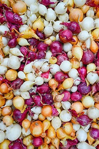 Onion bulbs, Mix, Red, Yellow, White, Onion Sets, (40+Bulbs), Mixed Onion Bulbs