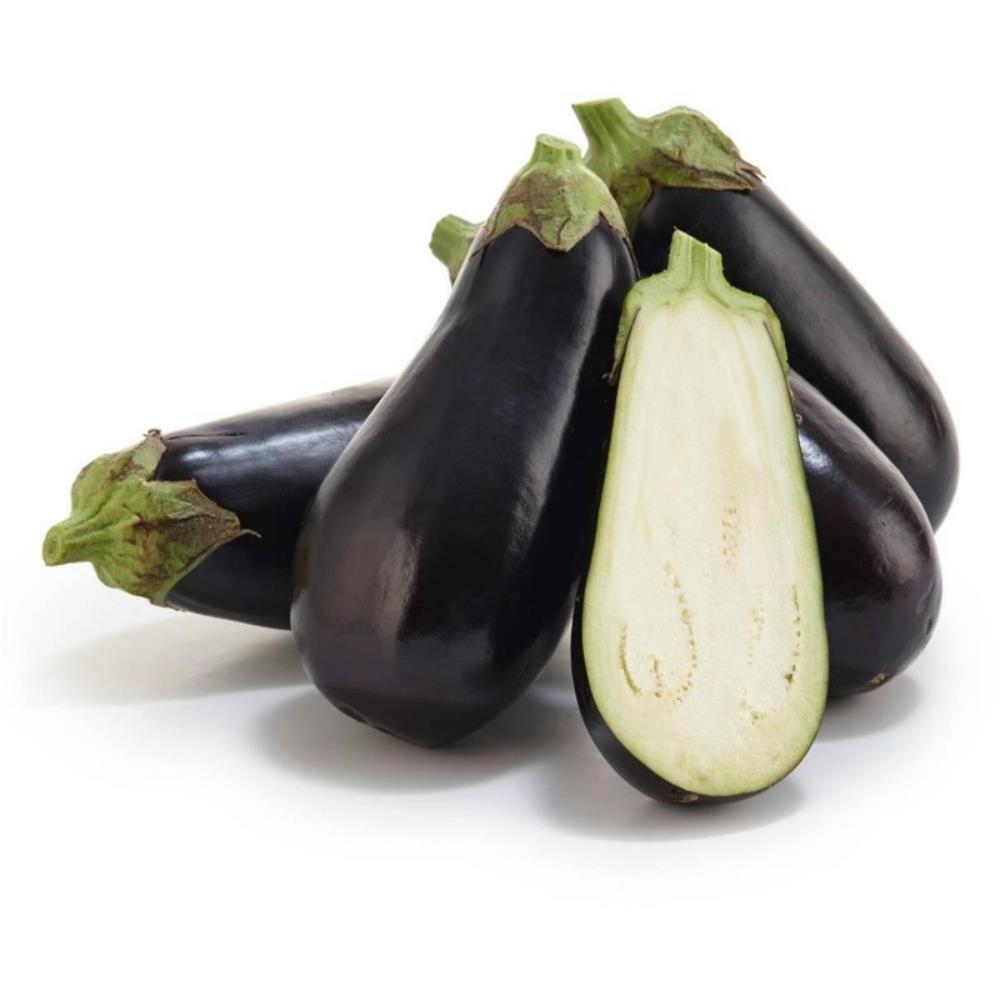 egg plant seeds Eggplant, Black Beauty Seed, Heirloom NON-GMO Seed, 75 Eggplant Seed