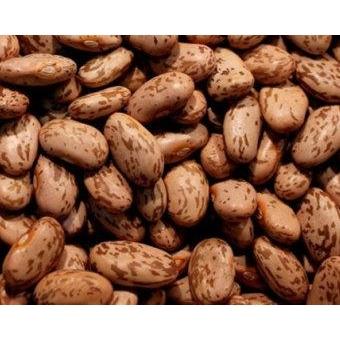 PInto Bean Seed, 1/4 Pound Pack for 2016, Heirloom, Non GMO-Starting Gardens