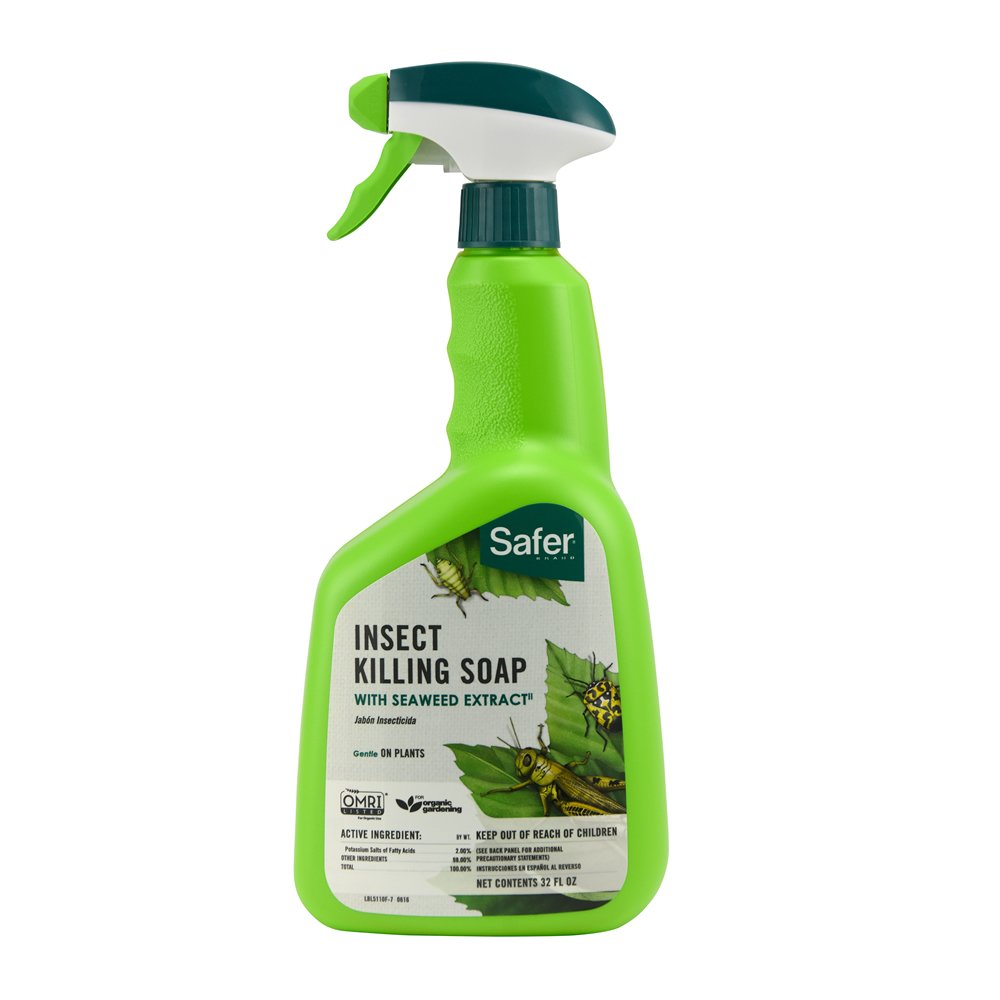 garden safe insecticidal soap Safer Insect Killing Soap, Safe around pets and children, 24 oz, Ready – Starting Gardens