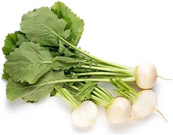 Shogoin Turnip Seed, Japanese Turnip, Greens, Root Vegetable, Heirloom, NON GMO