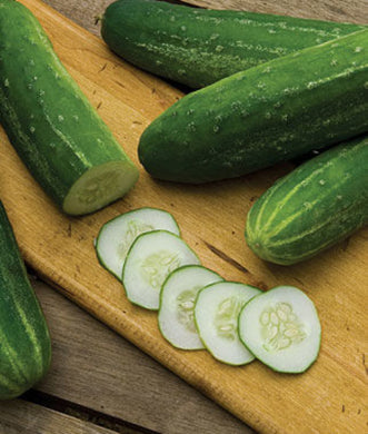 Cucumber Straight Eight, Heirloom, NON-GMO, 25 Cucumber Seeds, Straight 8 Seed