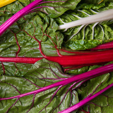 Swiss Chard Seeds, Rainbow Swiss Chard Seed, NON-GMO, 100 Seeds