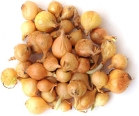 Yellow Onion Sets, Yellow Ebenezer Onion Sets, 30-40 Bulb Pack, Onion Bulbs