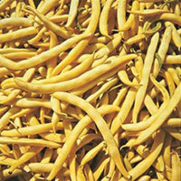 Cherokee Yellow Wax Bush Bean, 1 oz Pack (60-75 Seeds), NON-GMO, Yellow Wax Bush