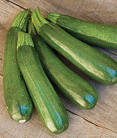 Zucchini Dark Green Squash, NON-GMO, Heirloom, 25 Zucchini Seeds, Vegetable Seed