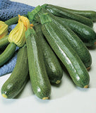 Zucchini Dark Green Squash, NON-GMO, Heirloom, 25 Zucchini Seeds, Vegetable Seed